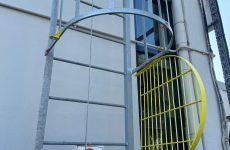 WhatsApp Görsel 2024-01-17 saat 16.03.37_4ee58f0d